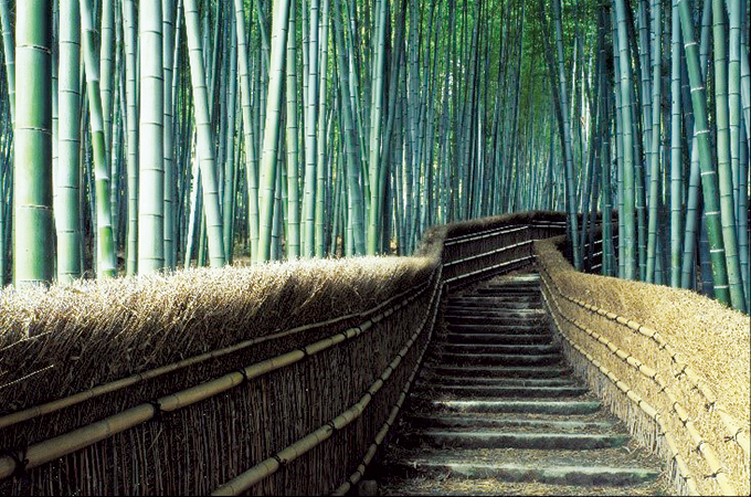  Japan banks on inbound for travel growth